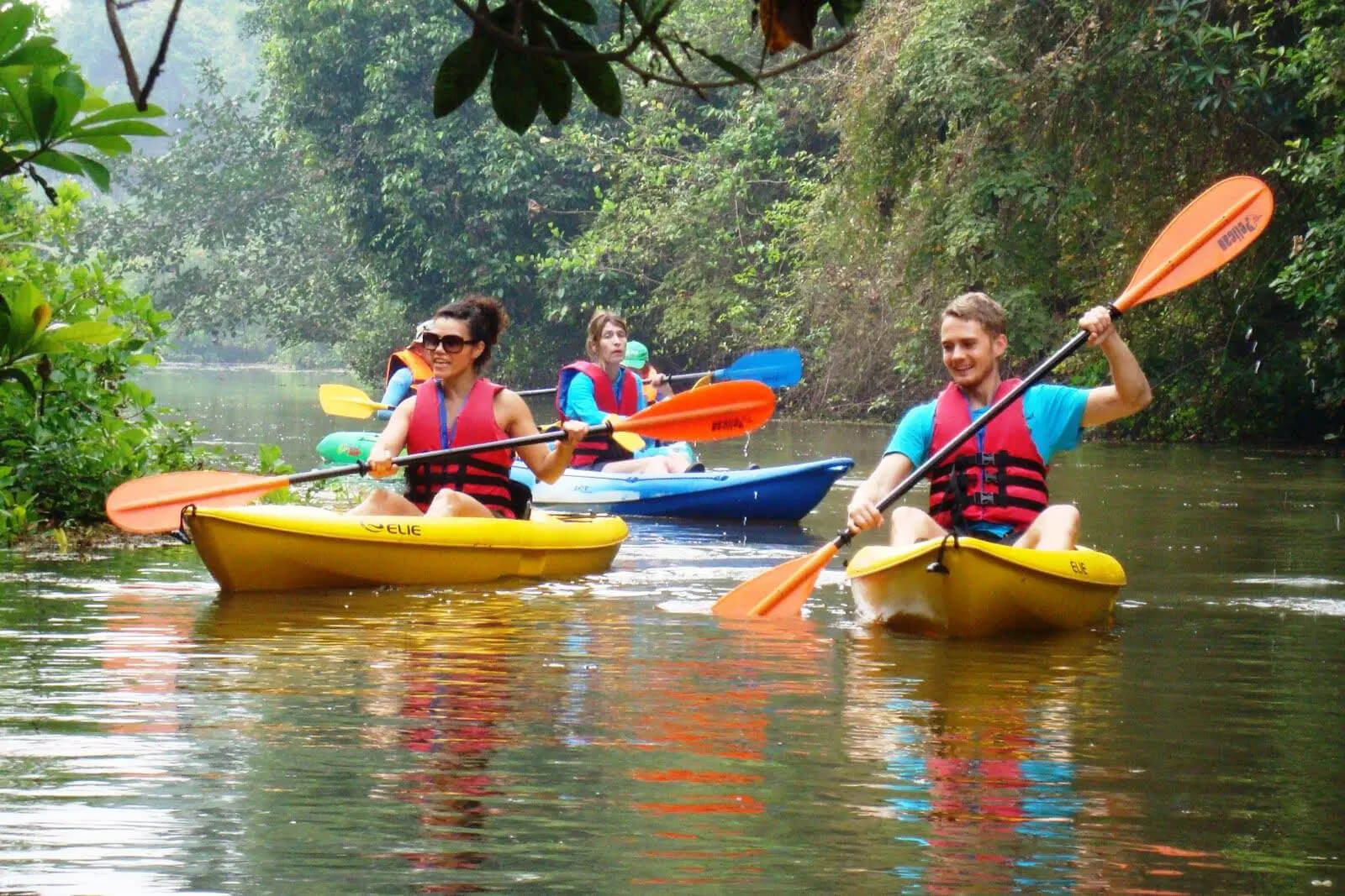 A scenic view of kayaking in the Palolem backwaters, showcasing the peaceful water and rich natural surroundings.